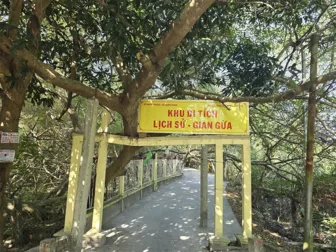 Kỳ thú thiên nhiên giữa miệt vườn Cần Thơ