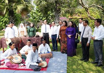 Phó Chủ tịch nước dự Ngày hội Văn hóa các dân tộc tỉnh Vĩnh Long