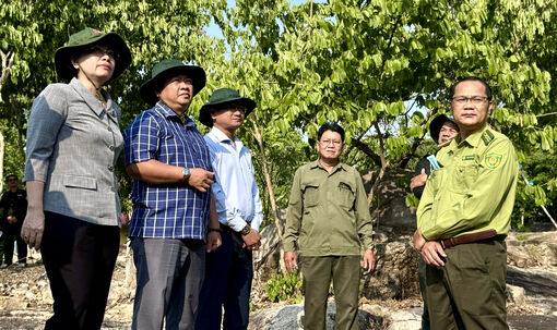 Kiểm tra công tác phòng cháy chữa cháy rừng trên địa bàn xã Ô Lâm