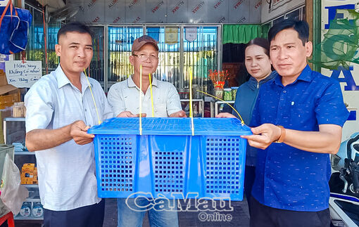 Người dân giao nộp cá thể kỳ đà bông quý hiếm