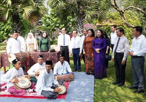 Phó Chủ tịch nước dự Ngày hội Văn hóa các dân tộc tỉnh Vĩnh Long