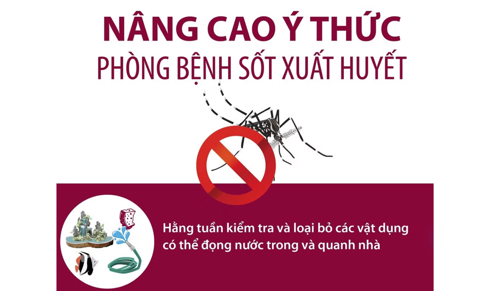 Nâng cao ý thức phòng bệnh sốt xuất huyết