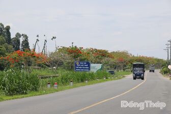Đồng Tháp: Hệ thống hạ tầng giao thông đáp ứng tốt nhu cầu vận chuyển