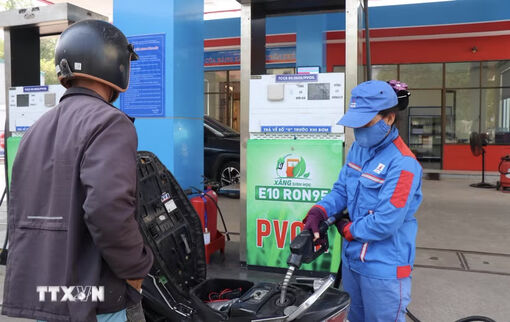 Nhiều đề xuất tháo gỡ khó khăn cho xăng E10 “trước giờ G”