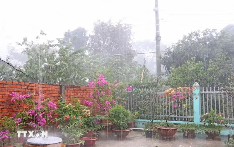 Cơn mưa lớn giúp giải nhiệt và giảm nguy cơ cháy rừng ở An Giang