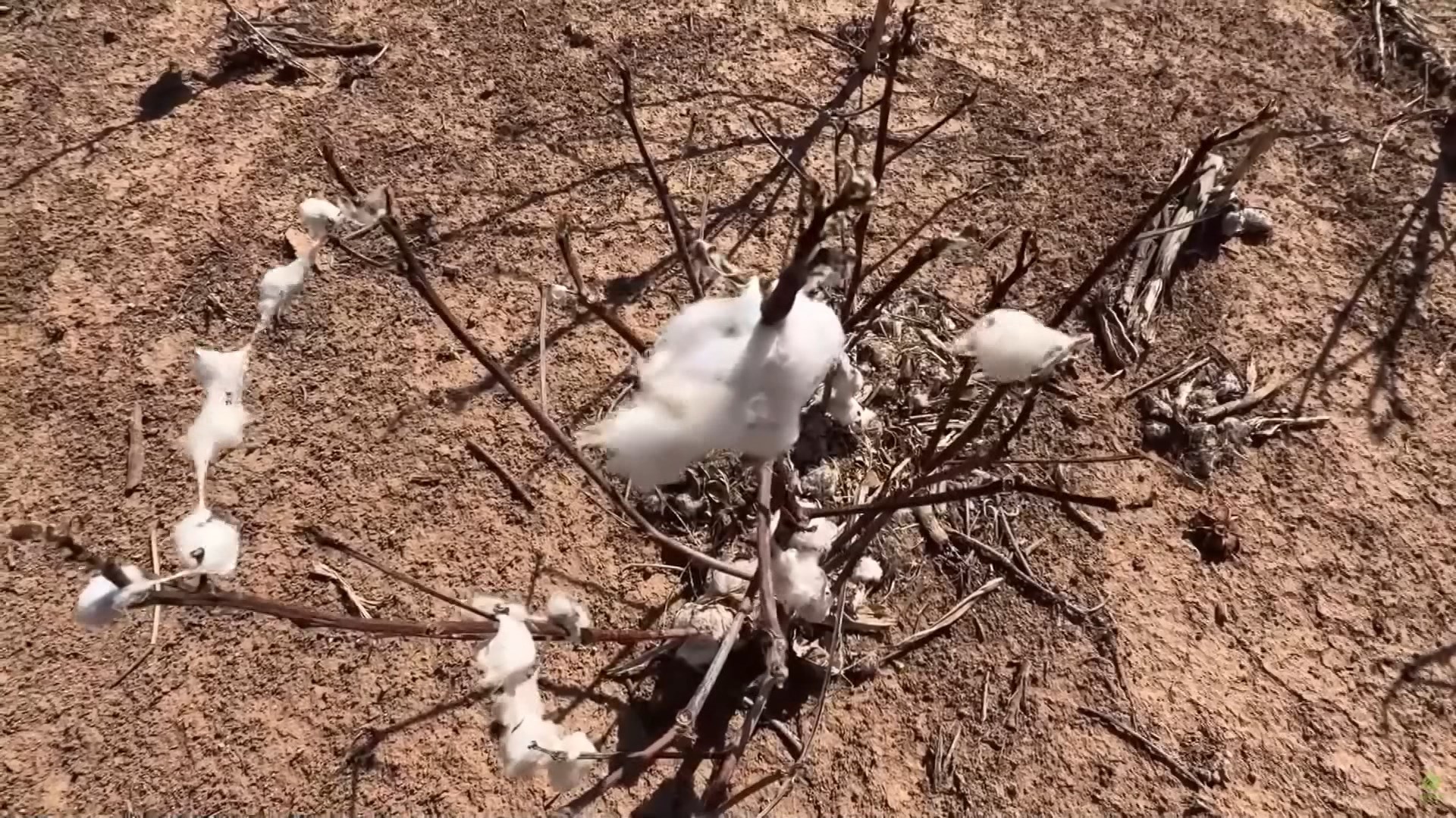 Mỹ ghi nhận hạn hán kỷ lục