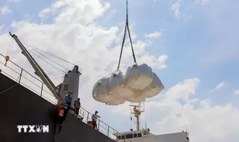 Giá lúa gạo tiếp đà tăng, gạo thơm chạm ngưỡng 500 USD/tấn