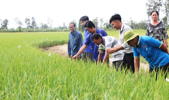 Nhơn Mỹ định hình hướng phát triển mới