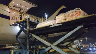 Tập đoàn Lulu thuê máy bay vận chuyển rau quả tươi từ Việt Nam sang UAE