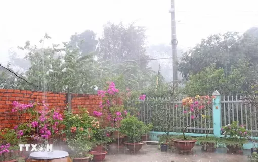 Cơn mưa lớn giúp giải nhiệt và giảm nguy cơ cháy rừng ở An Giang