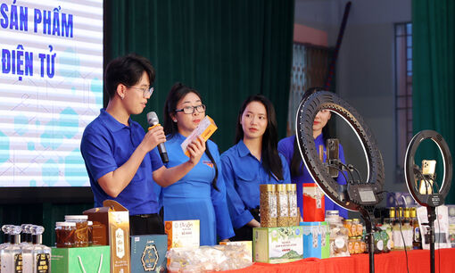 Lựa chọn việc làm trên không gian số