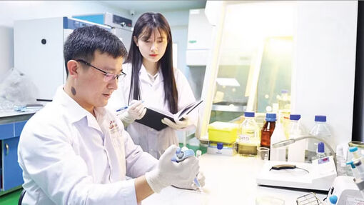 Ứng dụng dược liệu thay thế kháng sinh trong nuôi tôm