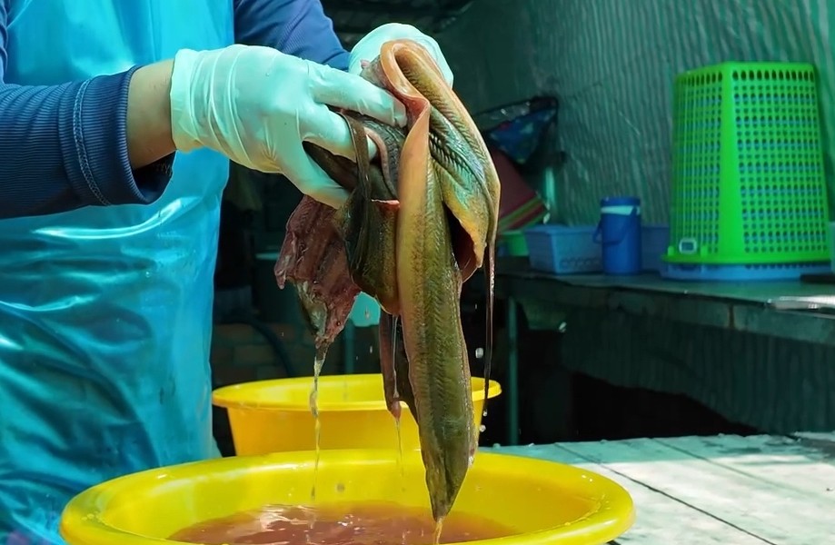 Từ lươn sống sang lươn khô