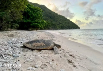 Ngày Trái đất 22/4: “Sức mạnh của chúng ta, hành tinh của chúng ta”