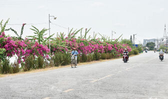 Người dân cùng làm nông thôn mới