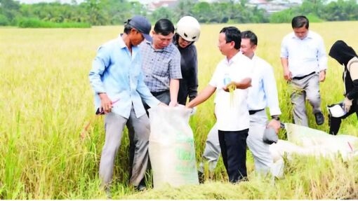 Động lực để hợp tác xã nông nghiệp phát triển bền vững