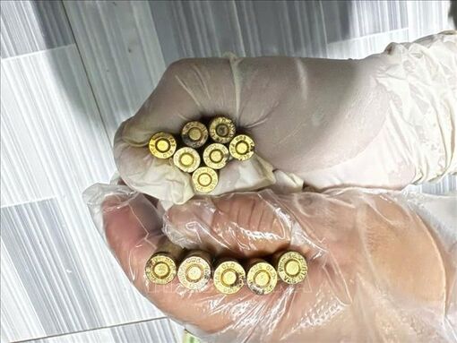 Triệt phá đường dây ma túy, thu giữ nhiều vũ khí