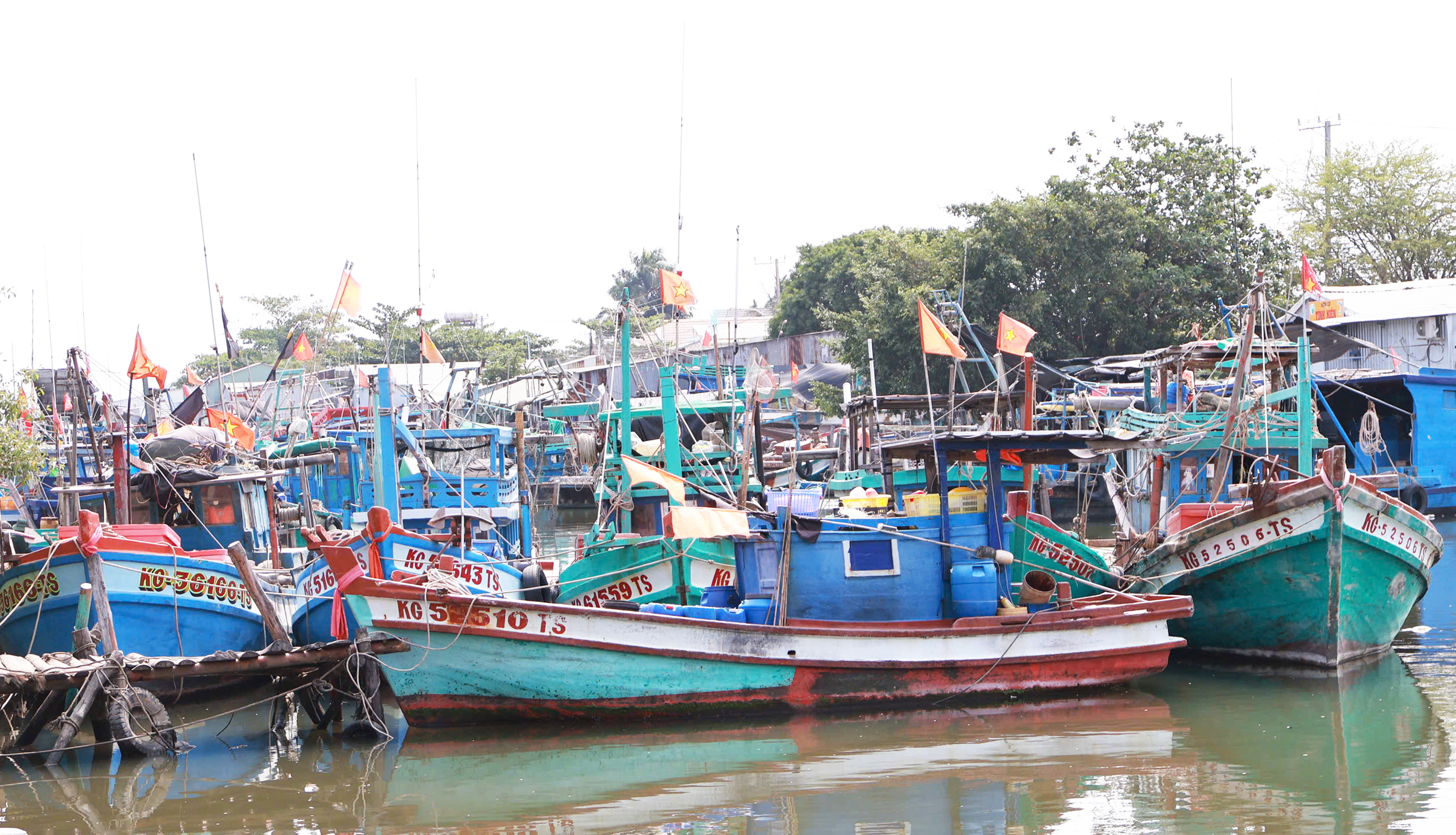 Ngư dân chưa mặn mà ra khơi