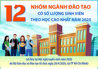 [Infographics] 12 nhóm ngành đào tạo có số lượng sinh viên theo học cao nhất năm 2025