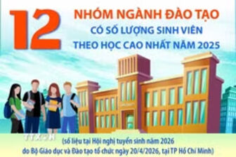 12 nhóm ngành đào tạo có số lượng sinh viên theo học cao nhất năm 2025