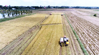 Bình Thạnh Đông đưa nghị quyết vào cuộc sống