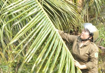 Gắn kết thanh niên từ những việc nhỏ