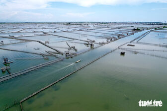 Những ngày nắng gắt, về đầm Chuồn tận hưởng không gian mênh mông, mát lành