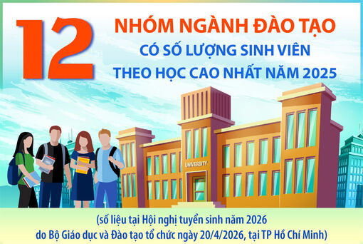 12 nhóm ngành đào tạo có số lượng sinh viên theo học cao nhất năm 2025