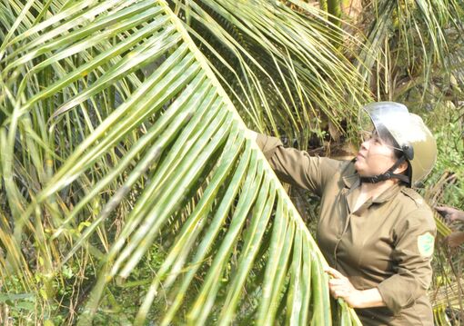 Gắn kết thanh niên từ những việc nhỏ