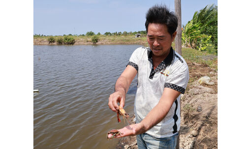 Kiểm soát hạn mặn, giữ mùa vụ