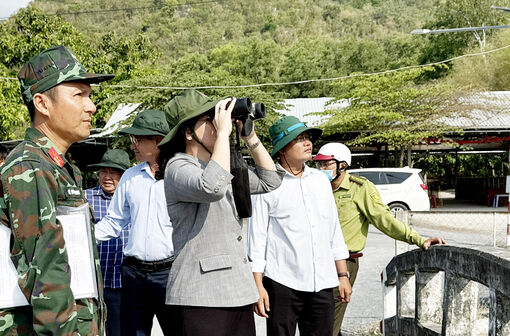 Siết phòng cháy rừng vùng Bảy Núi