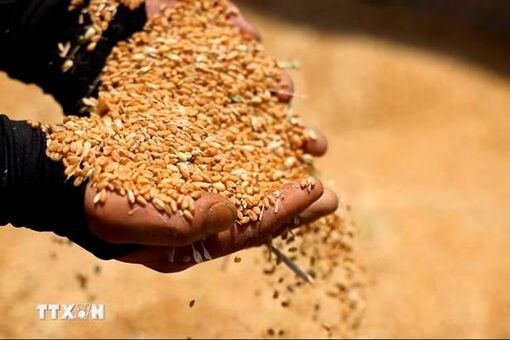 Tin thế giới nổi bật 22/4