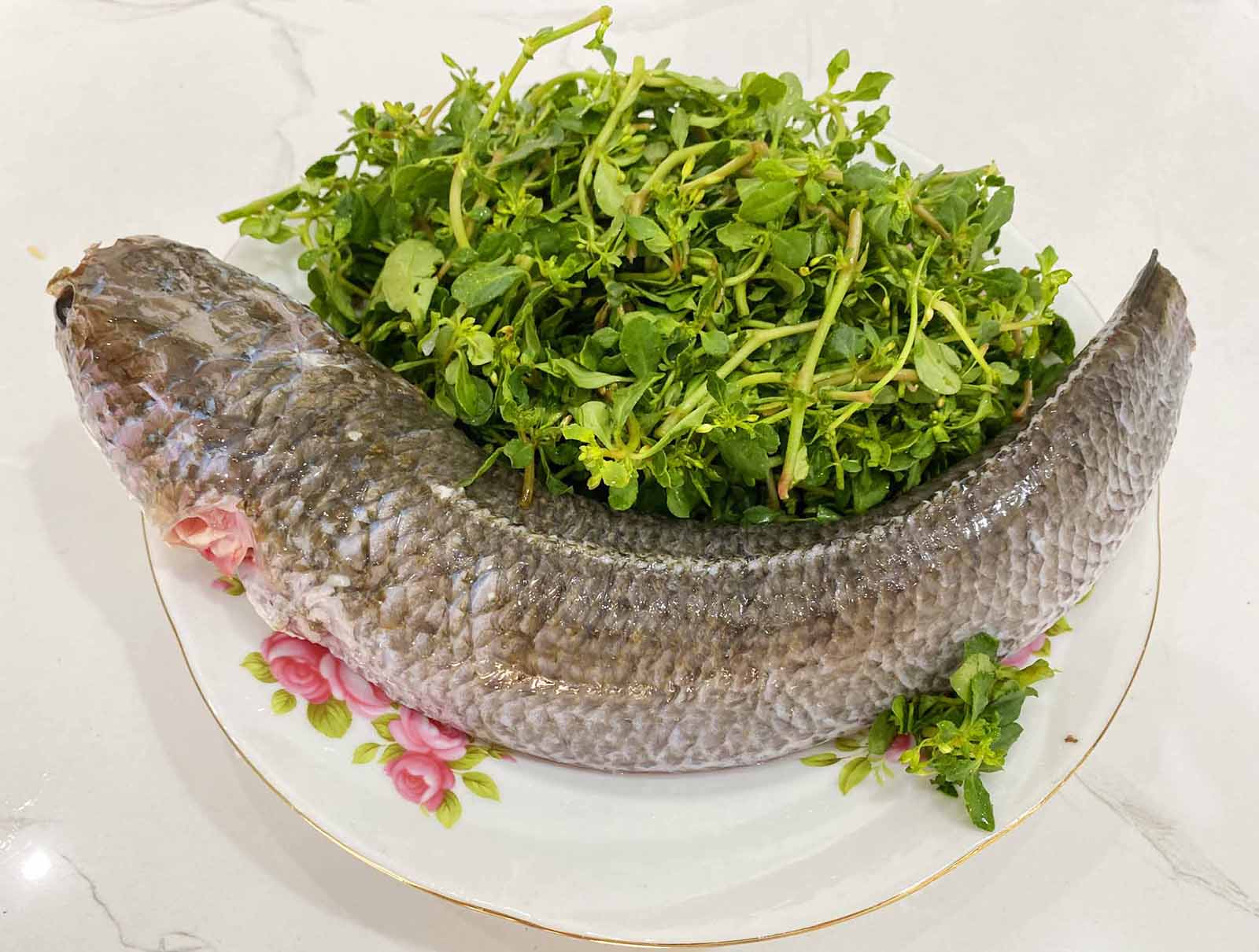 Thương rau đắng mọc sau hè