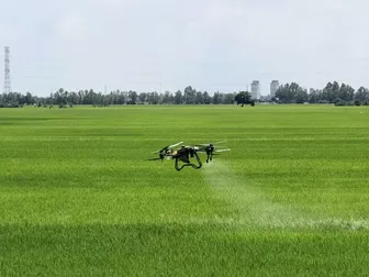 Hướng đi mới của An Giang trong thực hiện Đề án 1 triệu ha lúa chất lượng cao