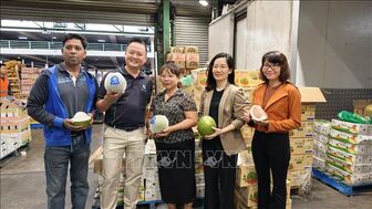 Lần đầu tiên trái bưởi Việt Nam có mặt tại thị trường Australia