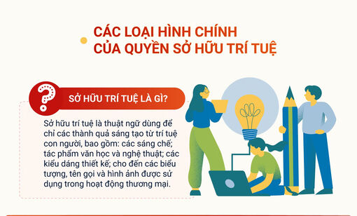[Infographic] Các loại hình chính của quyền sở hữu trí tuệ