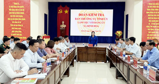 Đoàn kiểm tra của Ban Thường vụ Tỉnh ủy An Giang làm việc với xã Định Hòa