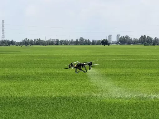 Hướng đi mới của An Giang trong thực hiện Đề án 1 triệu ha lúa chất lượng cao