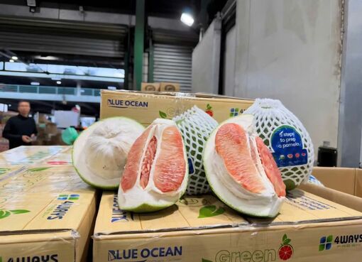 Lô bưởi đầu tiên của Việt Nam đã có mặt tại Australia