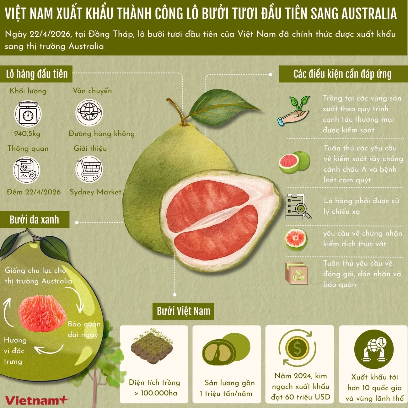 Việt Nam xuất khẩu thành công lô bưởi tươi đầu tiên sang Australia