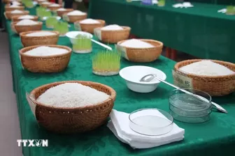 Lần đầu tiên tổ chức cuộc thi gạo ngon Đồng bằng sông Cửu Long