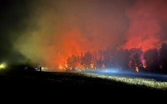 Cháy khoảng 4,69ha rừng tràm sản xuất ở xã Cô Tô