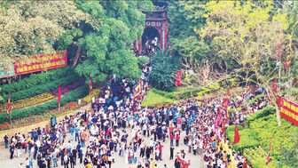 Như cây một cội, như con một nhà