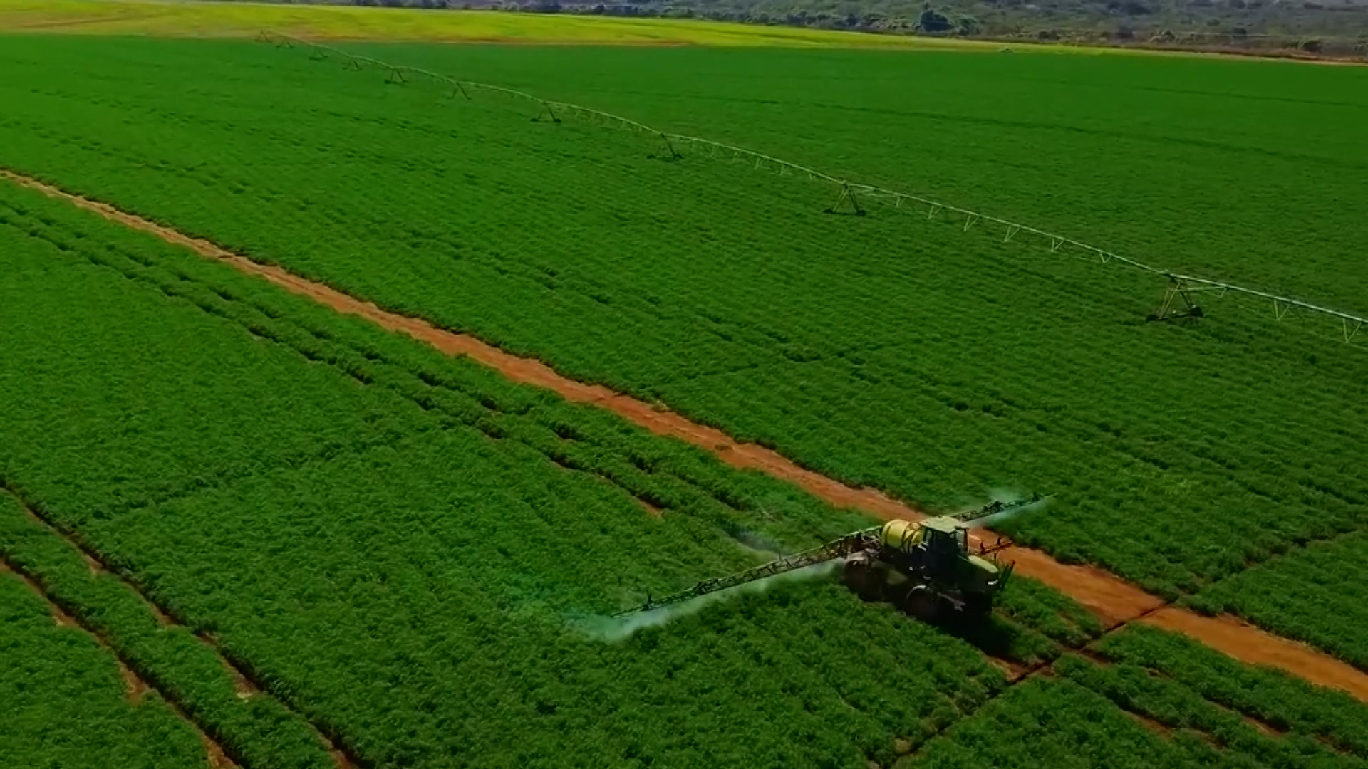 Công nghệ giúp làm mát cây trồng, phục hồi đất ở Israel