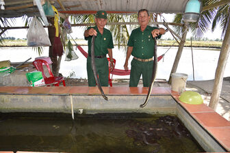 Bám đất làm nên cơ nghiệp