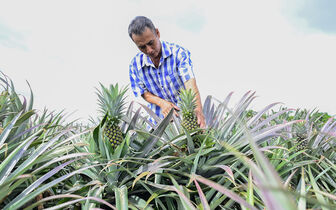 Đảng viên làm trước, dân làm theo