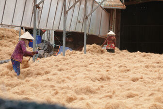 Nghề dệt chỉ xơ dừa "giữ chân" phụ nữ miền Tây thế nào?