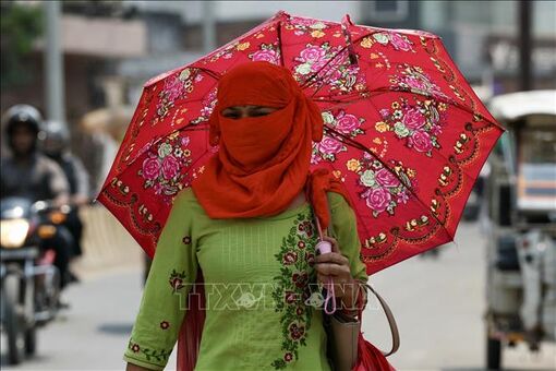 Ấn Độ: Nắng nóng bao trùm với nhiệt độ liên tục vượt mốc 46 độ C