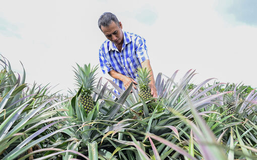 Đảng viên làm trước, dân làm theo