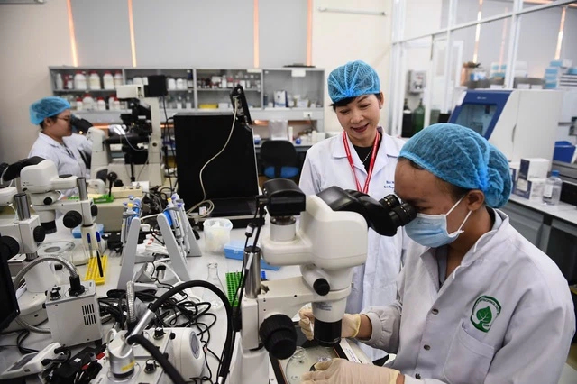 Tăng tốc đào tạo tiến sĩ: Các chương trình miễn phí